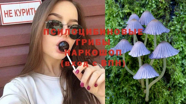 PSILOCYBIN Елизово